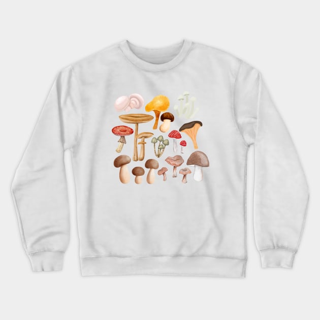 Mushroom multy kind of mushrooms Crewneck Sweatshirt by Maroon55